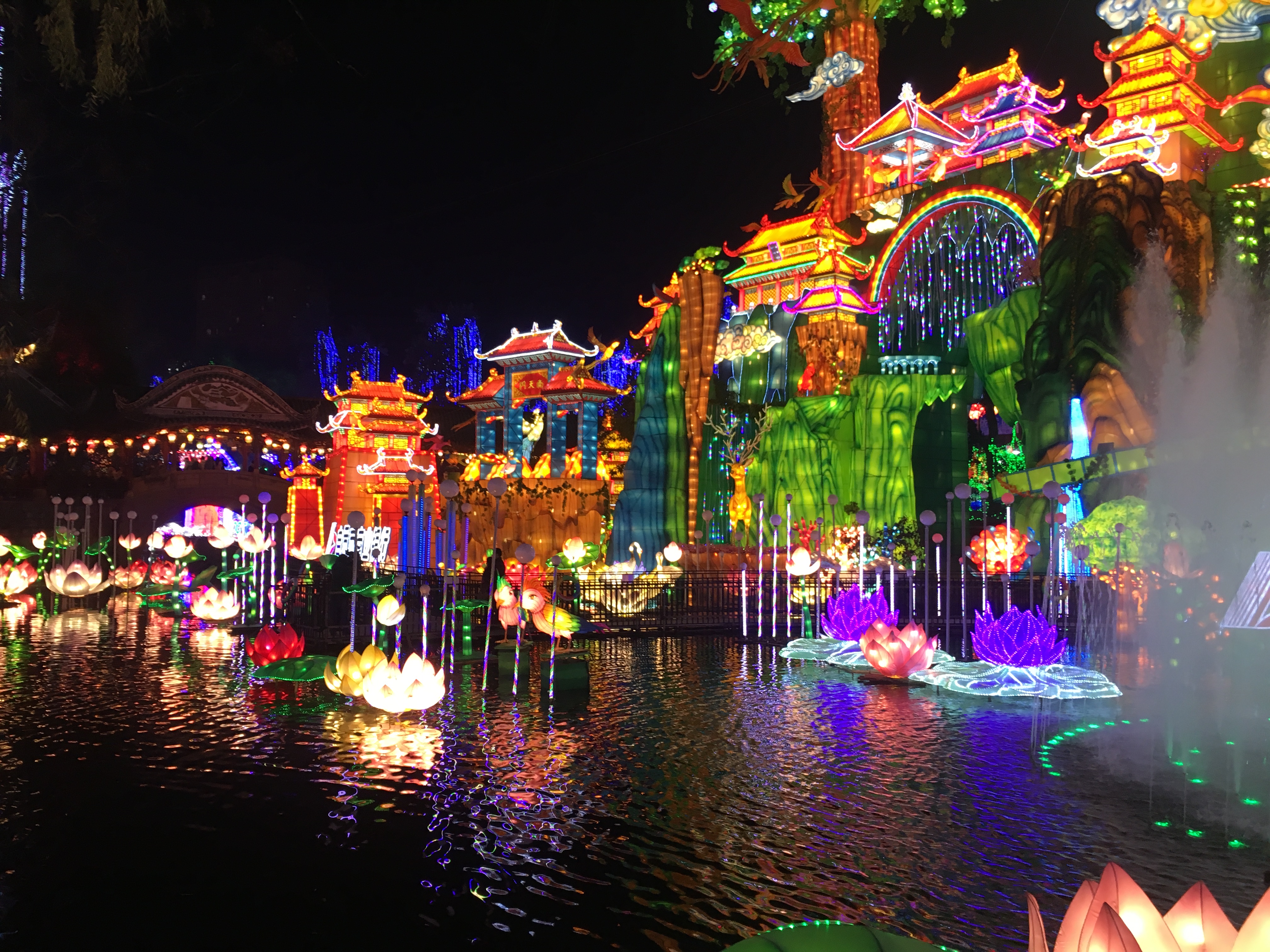 The twentythird zigong international lantern festival photo China