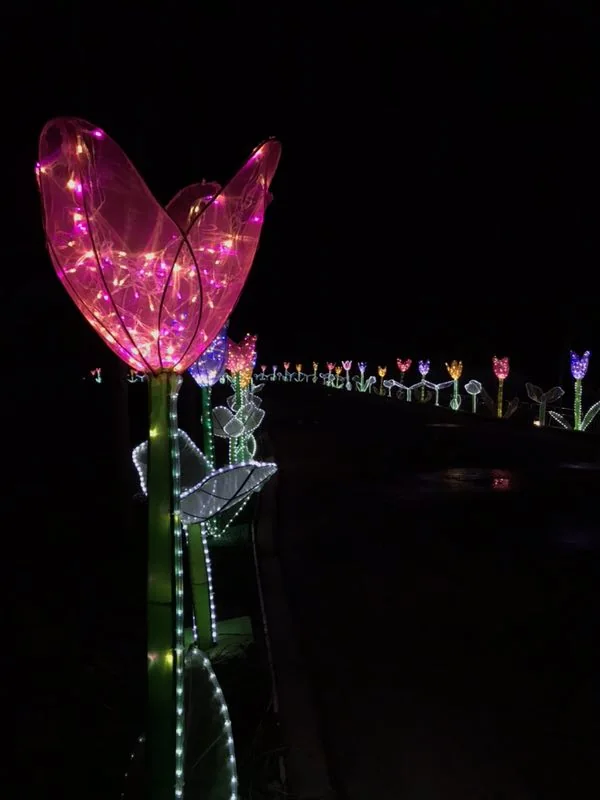 2018 Sichuan Phoenix Valley lantern festival display, project view 6