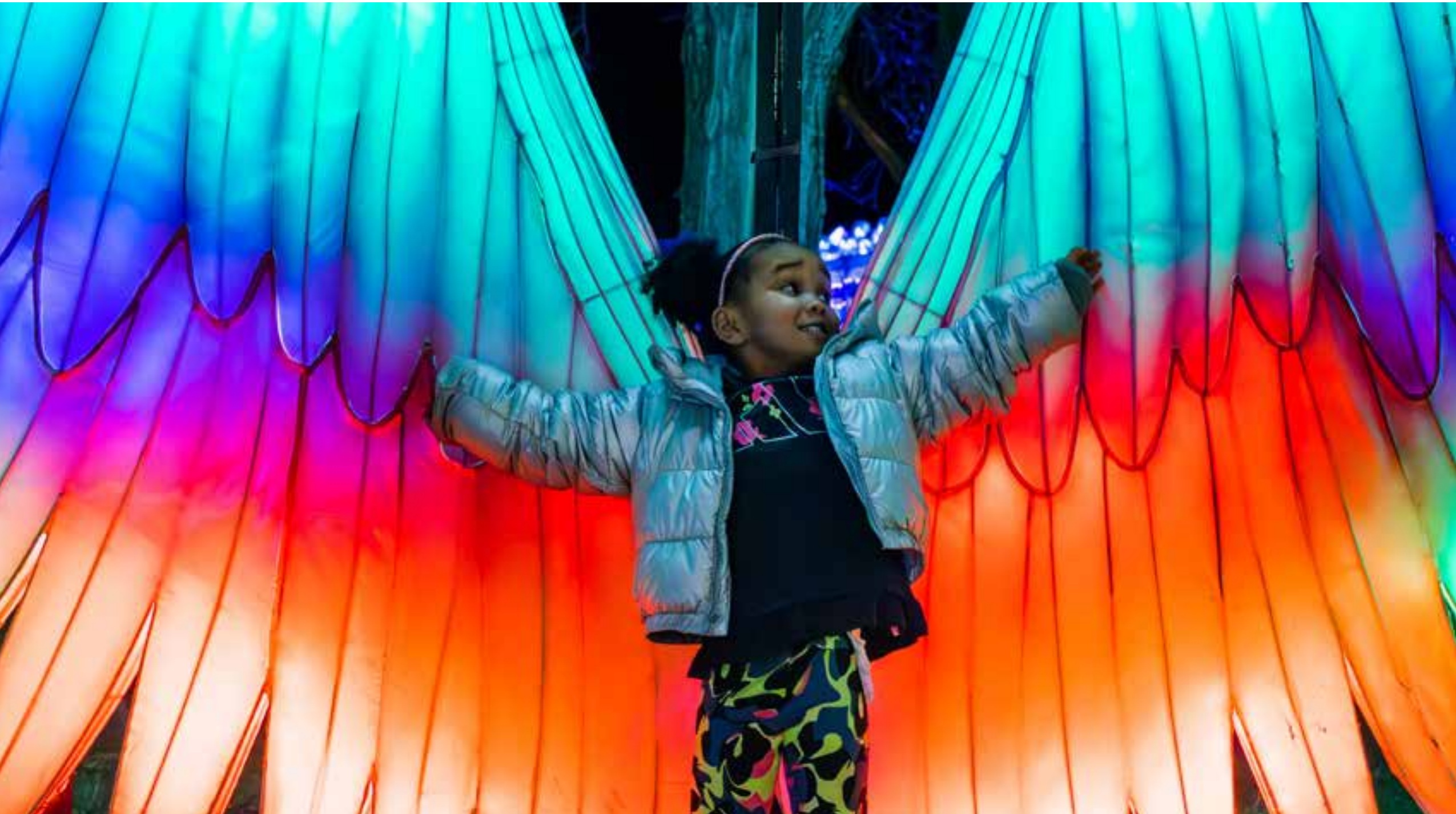 Child posing between glowing lantern wings at the 2024 Grand Rapids Lantern Festival