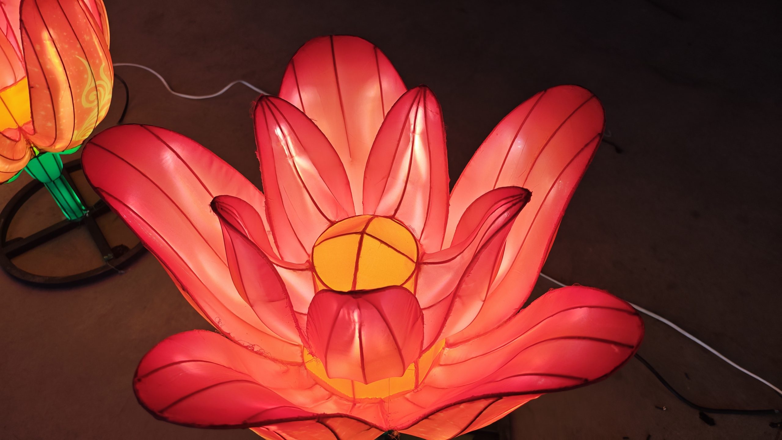 Large illuminated pink flower lantern with layered petals