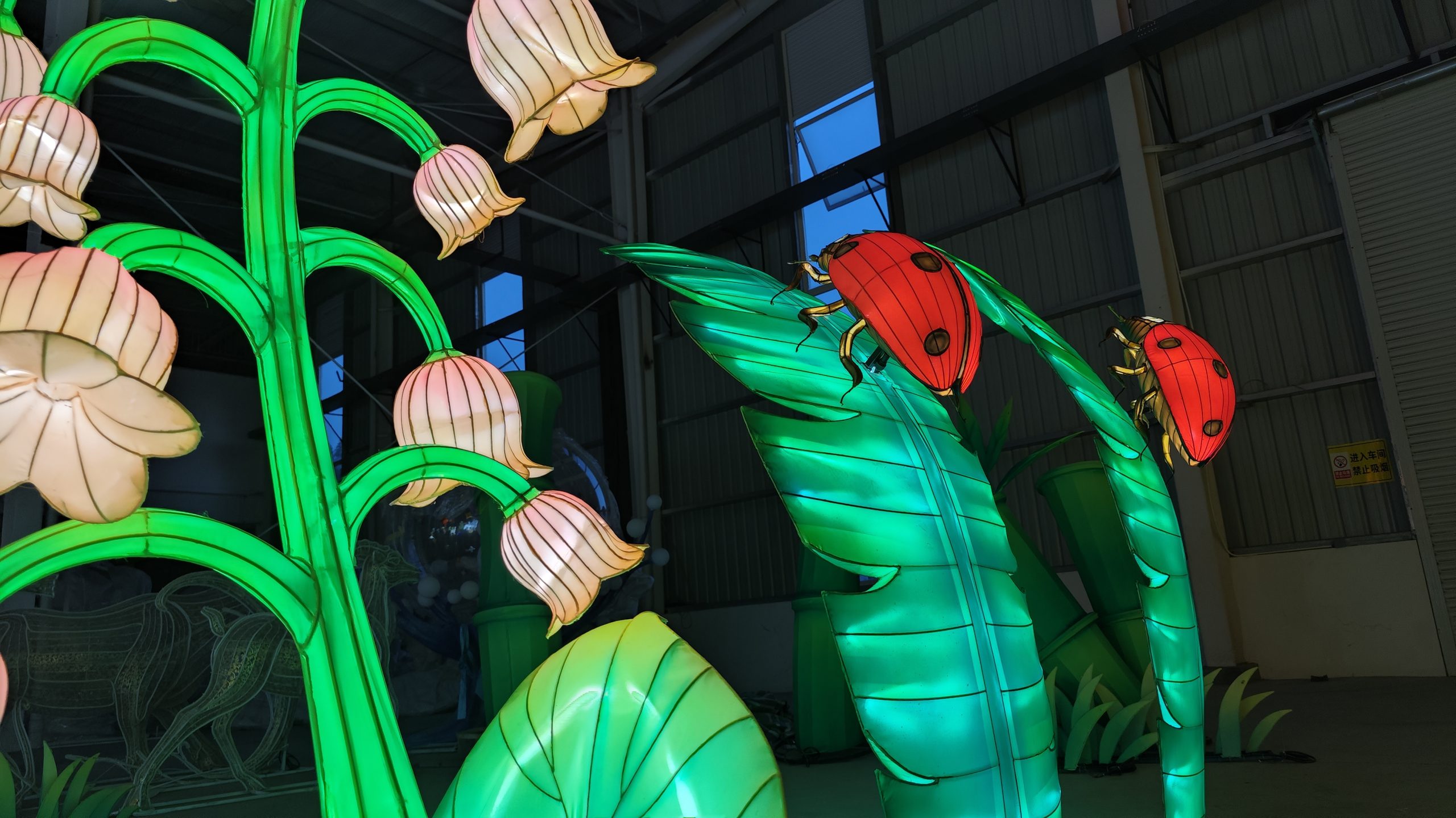 Tall flowering stems and insect lanterns in the workshop